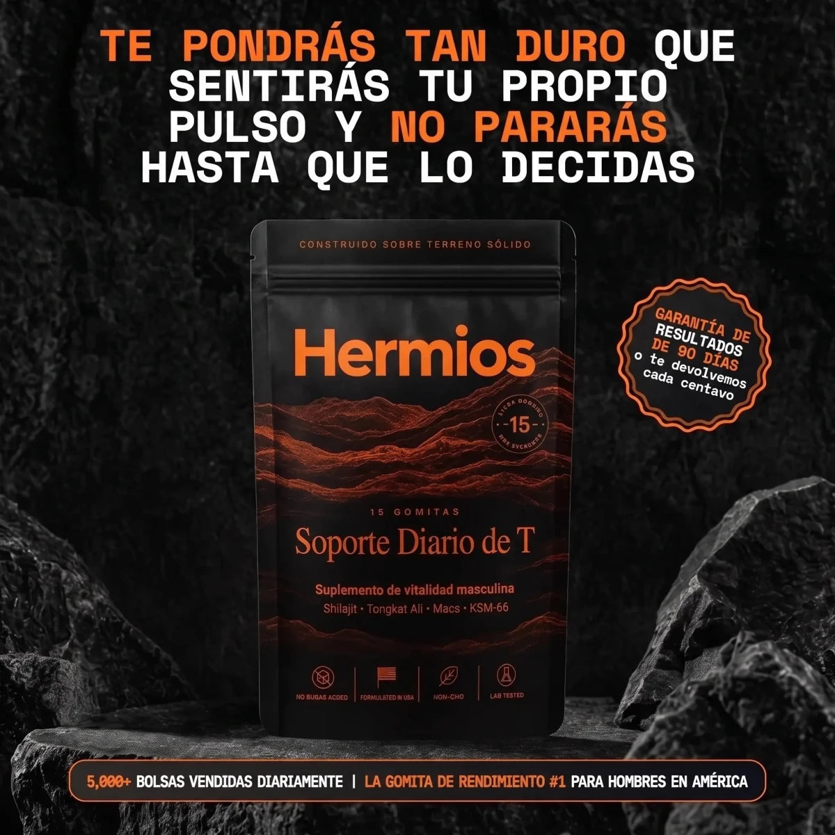 Suporte Diário de TI
