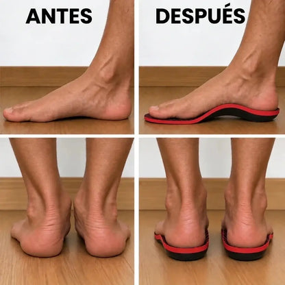 Palmilhas Com Suporte Máximo Para O Arco Do Pé
