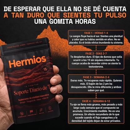 Suporte Diário de TI